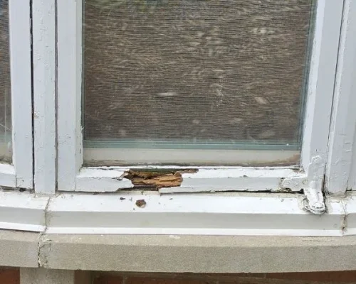 Rotten window sash repair in Frankfort IL